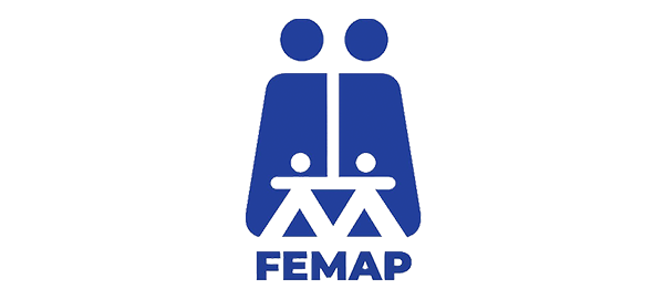 FEMAP Logo